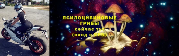 Альфа ПВП Няндома