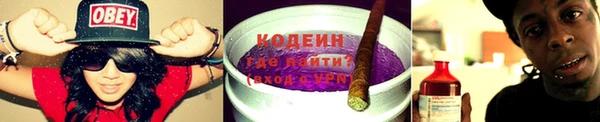 Альфа ПВП Няндома