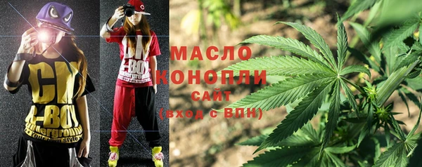 Альфа ПВП Няндома