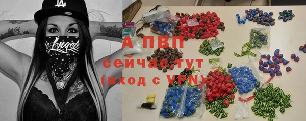 Альфа ПВП Няндома