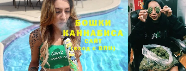 Альфа ПВП Няндома