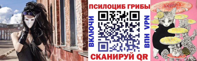 закладка  Рыльск  OMG tor  Галлюциногенные грибы MAGIC MUSHROOMS 